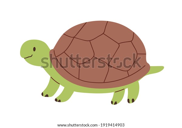 Cute and funny green\
turtle with brown shell. Side view of happy tortoise character\
standing isolated on white background. Childish colored flat vector\
illustration