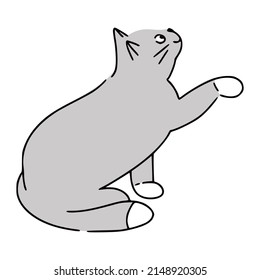 Cute funny grey domestic cat asking for feeding it. Great for web design, instructions, cards and apps.