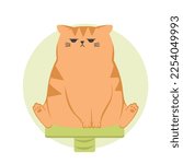 Cute funny grumpy ginger cat. Cat sitting on cats house. Cute funny cartoon cat character in different poses.