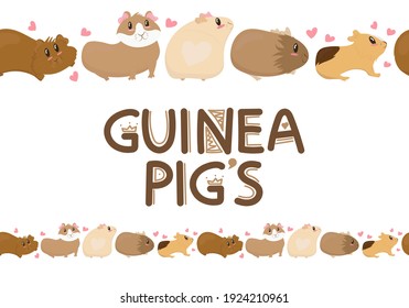 cute funny guinea pigs of different colors stand, cute home rodent, vector illustration in flat style, seamless horizontal border