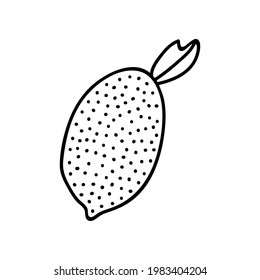 Cuidada y divertida capa de vector doodle limón de verano