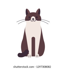 Cute funny happy cat isolated on white background. Domestic animal or pet. Adorable sitting kitty or pussycat, pretty lovely furry friend. Colorful vector illustration in flat cartoon style.