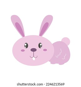 cute and funny happy little rabbit 