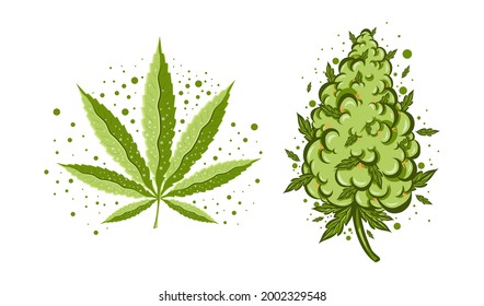 Cute funny happy marijuana weed bud with cannabis vape.Vector flat cartoon character illustration icon design. Cannabis with graffiti crown Isolated on white background.Weed bud,marijuana leaves