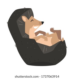 Cute Funny Hedgehog Lying on Its Back, Adorable Prickly Wild Forest Animal Cartoon Character Vector Illustration