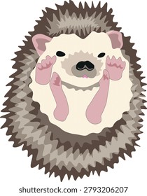 Cute funny hedgehog twisted into a ball