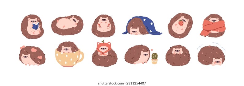 Cute funny hedgehogs set. Happy kawaii animal sleeping, reading, relaxing. Amusing sweet adorable charming forest character. Kids childish flat vector illustrations isolated on white background