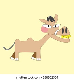 cute funny horse cartoon character