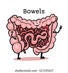 Cute And Funny Human Guts, Bowels, Intestines Character, Cartoon Vector Illustration Isolated On White Background. Healthy Smiling Guts, Bowels, Intestines Character With Arms And Legs