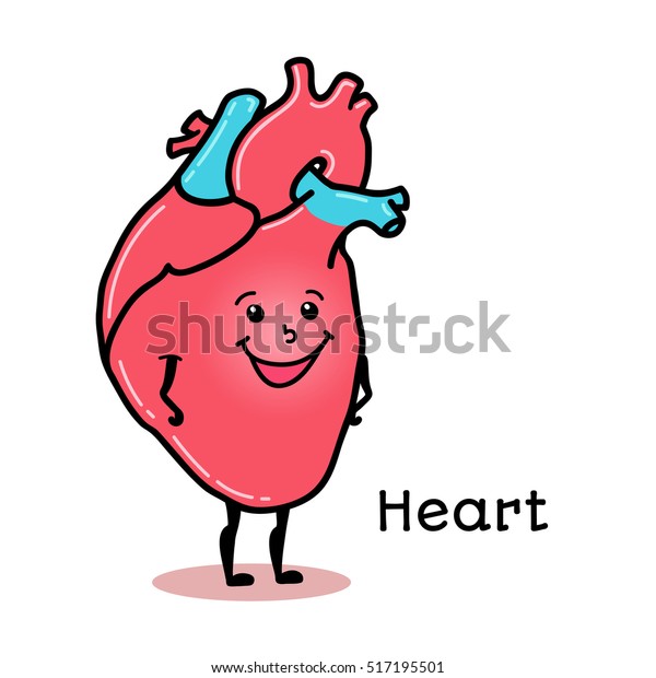 Clip Art Human Heart Vector