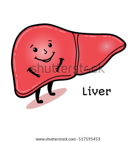 Cute Funny Human Liver Character Cartoon Stock Vector (Royalty Free