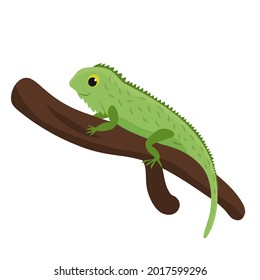 Cute funny iguana on a white background. Vector image in cartoon Cute funny iguana on a branch. White background. Vector image in cartoon flat style