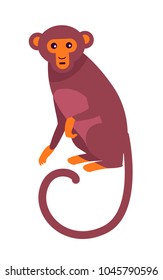 Cute funny Indian monkey with long thin curled tail sits with surprised face isolated cartoon vector illustration on white background.