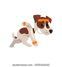 Cute funny jack russell terrier athlete character doing sports vector Illustration on a white background