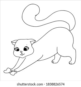 cute and funny kittens. The fluffy cat is resting or indulging. Hand drawn pet pet. cat doodles. vector illustration isolated on white background. antistress painting