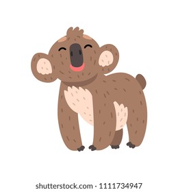 Cute funny koala bear standing on four legs, Australian marsupial animal character vector Illustrations on a white background