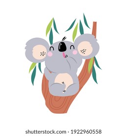 Cute Funny Koala Sitting on Eucalyptus Tree, Lovely Australian Animal Cartoon Character Vector Illustration