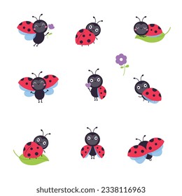 Cute funny ladybugs set. Little ladybird insects in different poses cartoon vector illustration