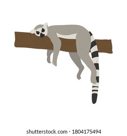 Cute funny lemur isolated white background. Mammal animal lies on a tree branch. Vector stock illustration. Cartoon style, flat design with textured effect. Exotic animal primate, monkey.