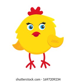 Cute funny little chick chiken hen cartoon flat style design vector illustration isolated on white background. Funny yellow chicken standing up on the ground.