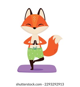 Cute funny little fox doing yoga. Adorable animal practicing fitness exercise cartoon vector illustration