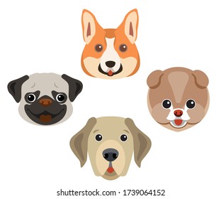 Cute funny little friends. 4 types of dogs: Corgi, Pug, Labrodor and Spitz