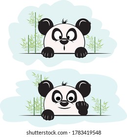 Cute and funny little Panda