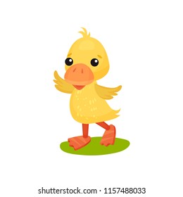 Cute funny little yellow duckling character vector Illustration on a white background