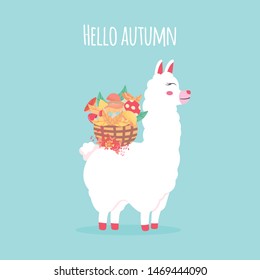 Cute funny llama, alpaca with flower and wicker basket of mushrooms. Hello autumn lettering