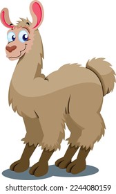 cute and funny llama white background