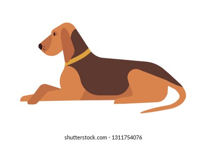 Cute funny lovely dog lying and resting on floor isolated on white background. Adorable calm purebred pet animal relaxing or reposing. Bright colored vector illustration in flat cartoon style.