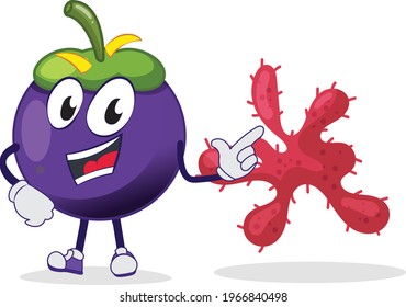 Cute Funny mangosteen character pointing to other germs