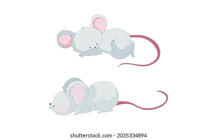 Cute funny mice set. Adorable little mouse activity cartoon vector illustration