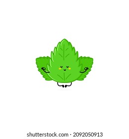 Cute funny mint leaf character. Vector hand drawn cartoon mascot character illustration icon. Isolated on white background