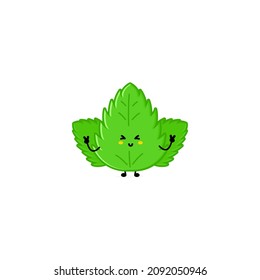 Cute funny mint leaf character. Vector hand drawn cartoon mascot character illustration icon. Isolated on white background