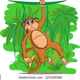 Cute and funny monkey hanging on liana and holding banana in hand on green jungle background.