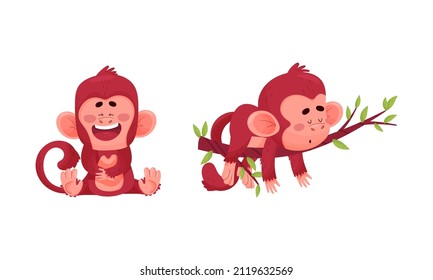 Cute funny monkeys actions set. Little baby animals laughing and sleeping on tree branch vector illustration