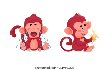 Se preparan graciosas acciones de monos. Pequeños animales llorando y comiendo ilustraciones vectoriales de frutos de banana