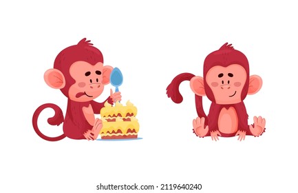 Cute funny monkeys actions set. Little baby animal characters with birthday cake vector illustration
