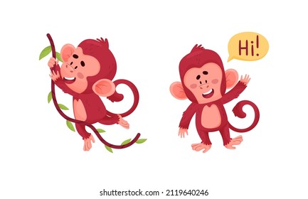 Cute Funny Monkeys Actions Set. Little Baby Animals Swinging On Vine And Saying Hi Vector Illustration