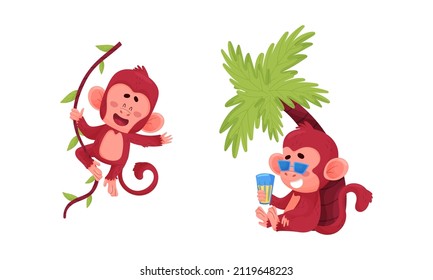 Se preparan graciosas acciones de monos. Pequeños bebés colgando de la vid y relajándose bajo la ilustración vectorial de la palmera