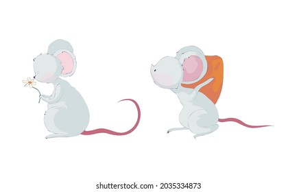Juego de caracteres graciosos del ratón. Pequeños y encantadores ratones cargando un trozo de queso y una flor de esnifar dibujos animados ilustraciones vectoriales