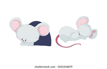 Juego de caracteres graciosos del ratón. Pequeños y encantadores ratones sentados en el agujero y durmiendo ilustración vectorial de dibujos animados aislados en fondo blanco