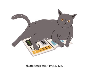 Cute and funny naughty cat lying on book. Adorable gray kitty isolated on white background. Hand-drawn colored flat vector illustration in doodle style