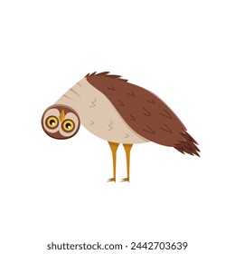 Cute funny owl with tilted leaned head. Vector illustration of cartoon forest night bird.