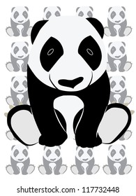 Cute and Funny Panda
