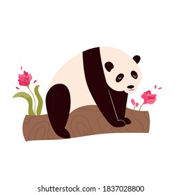 Cute funny panda sitting on a tree. Vector illustration of adorable animal.