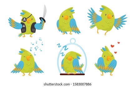 Cute Funny Parrot Cartoon Character Collection, Adorable Domestic Bird in Different Situations Vector Illustration