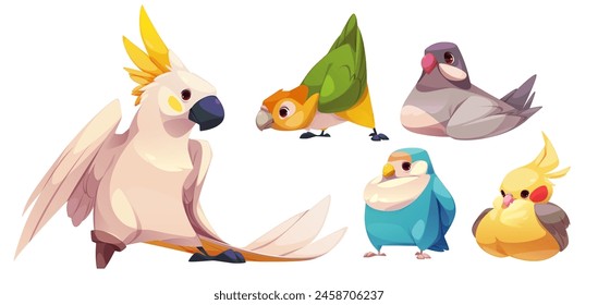 Lindo juego de personajes de loro divertido. Colección de Vector de dibujos animados de diferentes especies de aves exóticas amistosas de colores con pico, ala y cuentos con plumas multicolores. Animales exóticos de la selva y mascotas.