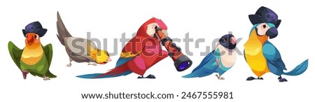 Cute funny parrot characters set with exotic wild birds, pets and pirate mascot in hat and with telescope. Cartoon vector different friendly tropical animal species with multicolored feathers and beak